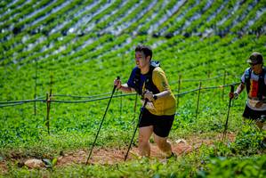 BIB: 3938
                            <button type="button" onclick="openModal(19164635)" class="btn btn-primary btn-sm float-right btn-popup" data-toggle="modal" data-target=".modal-high-quality">
                        <i class="fas fa-shopping-cart"></i> Add to Cart
                    </button>
                                            <button type="button" onclick="isThisMe(19164635, true)" class="btn btn-success btn-sm float-right btn-popup btn-isme hidden" data-toggle="tooltip" data-placement="bottom" title="นี่คือรูปของคุณใช่ไหม คลิกที่นี่เพื่อเอาเข้าอัลบั้ม">
                        <i class="fas fa-plus"></i> Add to album
                    </button>
                    <button type="button" onclick="isThisMe(19164635, false)" class="btn btn-warning btn-sm float-right btn-popup btn-isnotme hidden">
                        <i class="fas fa-ban"></i> Remove from album
                    </button>